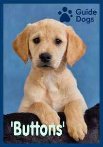 Buttons 1st pawtrait 378309